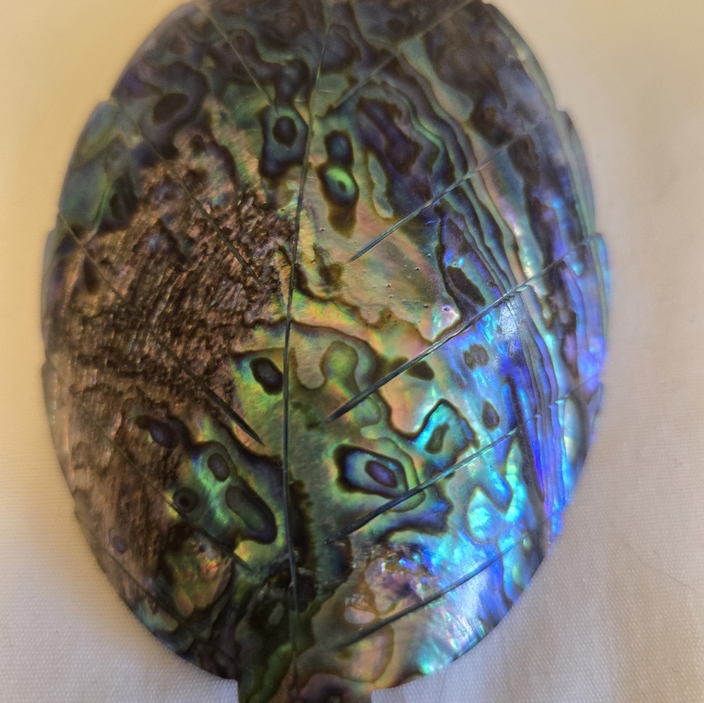 Large Vintage Abalone Scarf Clip Carved Leaf
